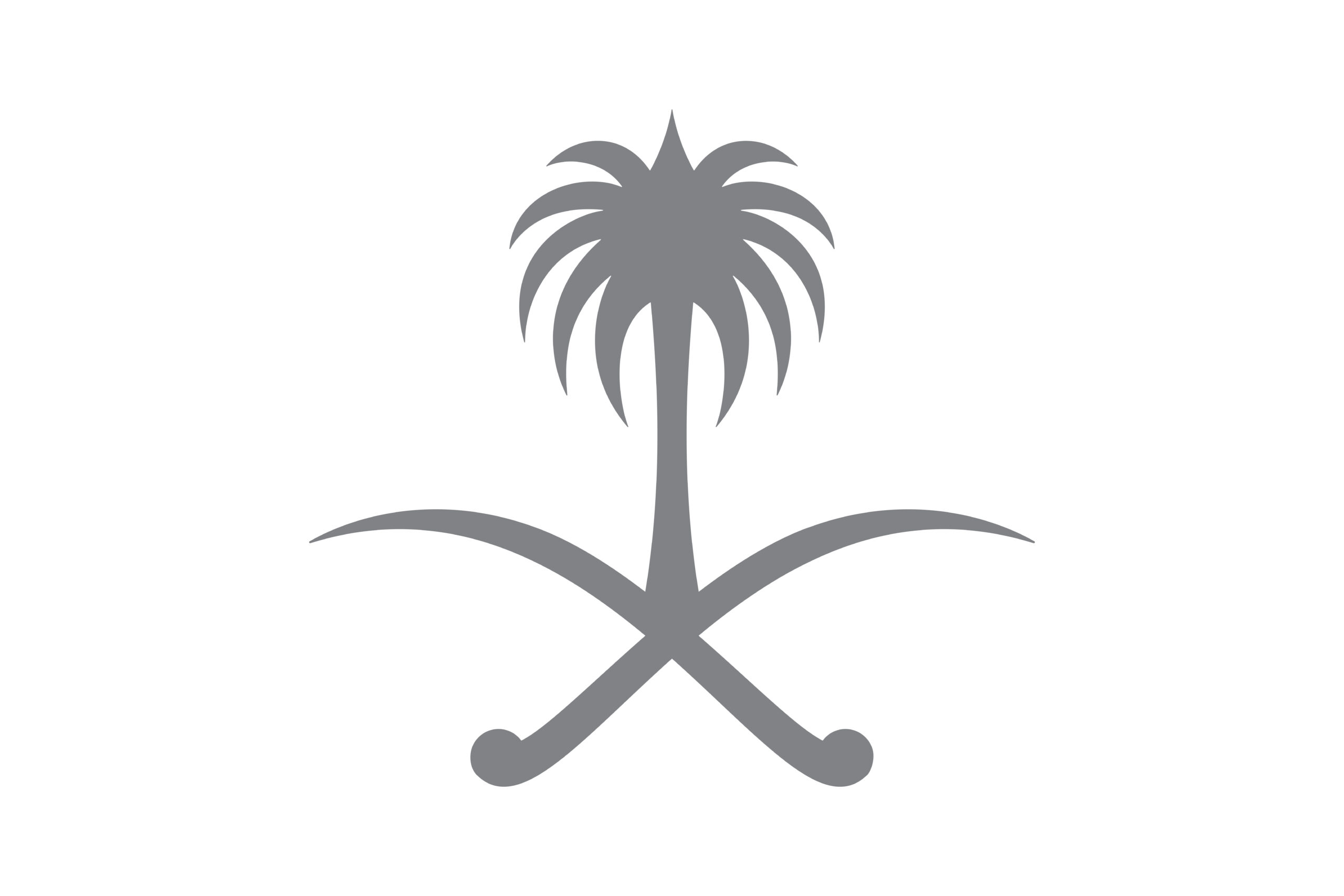 نظام وظائف مباشرة الأموال العامة